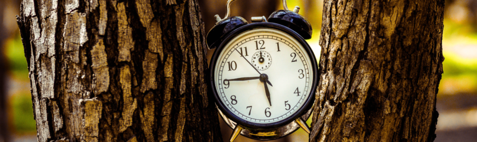 Kako zagotoviti najboljšo podporo strankam v realnem času v letu 2025