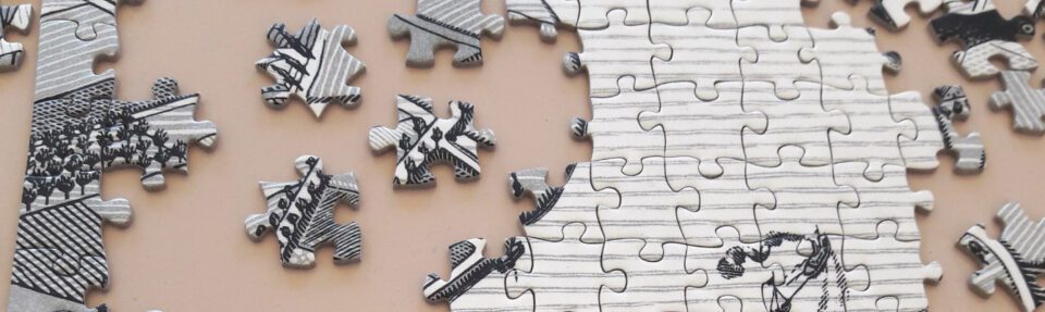 Zakaj bi morali integrirati programsko opremo?