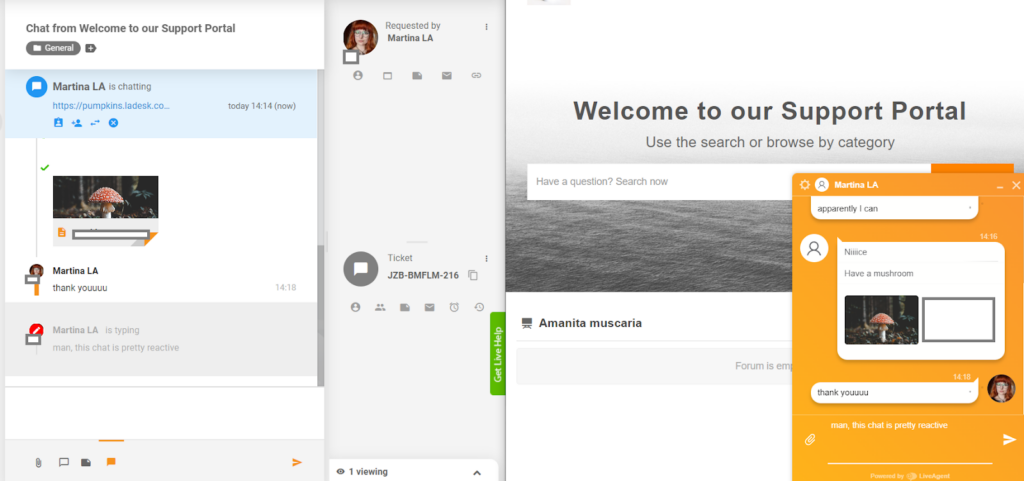 LiveAgent - predogled tipkanja v realnem času