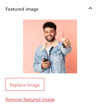 Primer priporočene slike