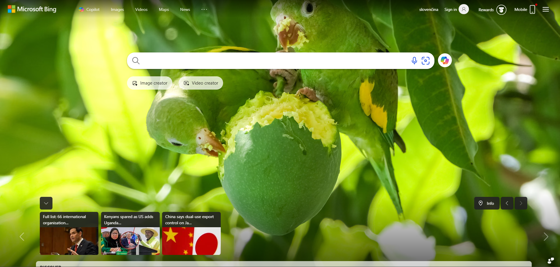 Kontakti Bing Help Desk