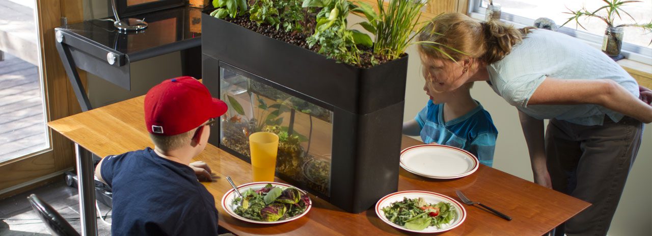 Trajnost AquaSprouts